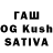 Псилоцибиновые грибы Magic Shrooms Makaz Kotof