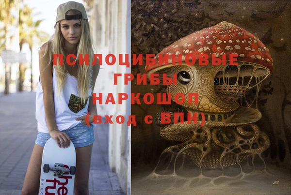твердый Лабытнанги