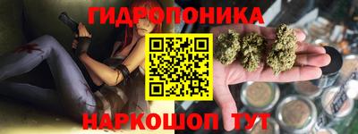 прущие крисы Кимры