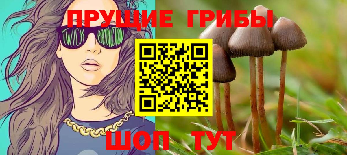 Ханты-Мансийск  Псилоцибиновые грибы GOLDEN TEACHER  Вход с VPN 